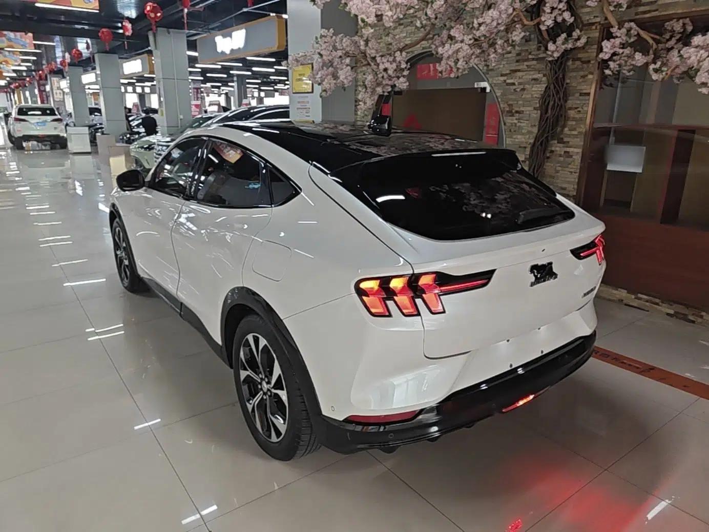 Ford Mustang Mach-E 2021 AION Y Plus Rear-Drive Luxury Edition (Long Range) — миниатюра 4