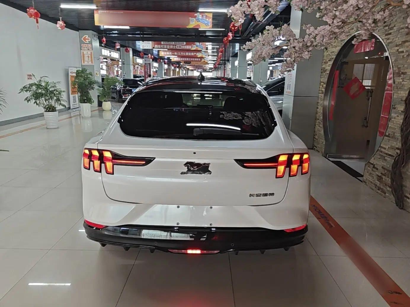 Ford Mustang Mach-E 2021 AION Y Plus Rear-Drive Luxury Edition (Long Range) — миниатюра 5