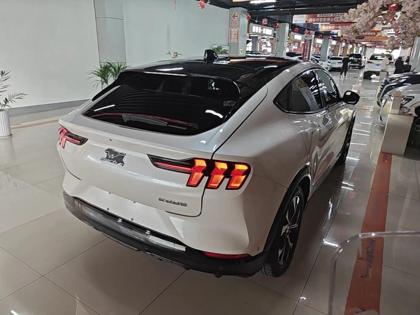 Ford Mustang Mach-E 2021 AION Y Plus Rear-Drive Luxury Edition (Long Range) — миниатюра 6