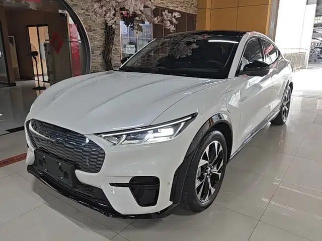 Ford Mustang Mach-E 2021 AION Y Plus Rear-Drive Luxury Edition (Long Range)
