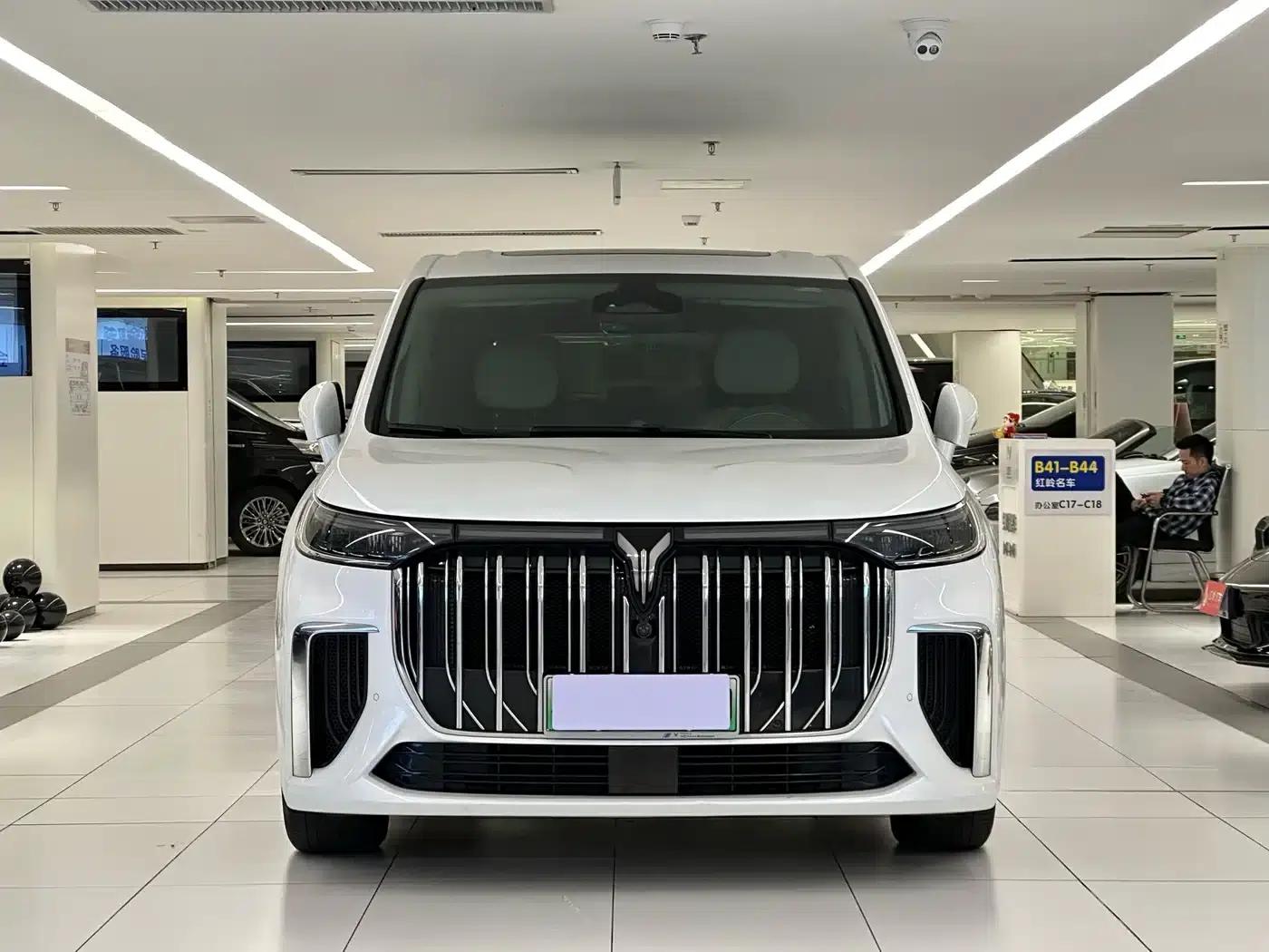 Voyah Dreamer 2022 Low-Carbon Edition Dream+ Smart Package — миниатюра 2