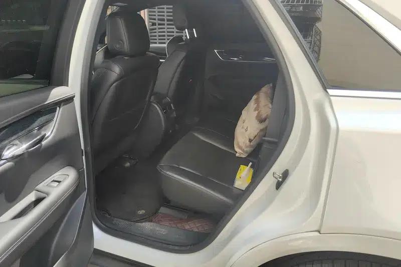 Cadillac XT5 2020 28T Luxury — миниатюра 17