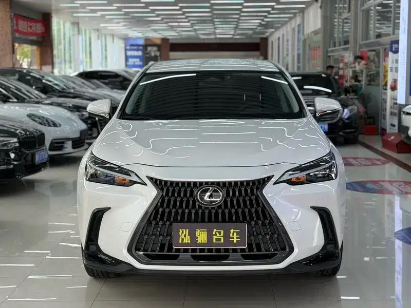 Lexus NX 2022 260 AWD Skyactiv-G — миниатюра 2