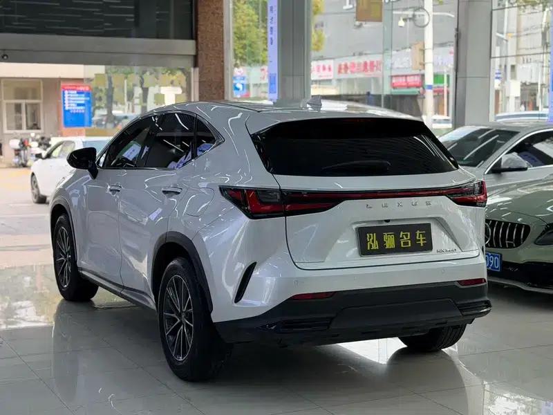 Lexus NX 2022 260 AWD Skyactiv-G — миниатюра 4
