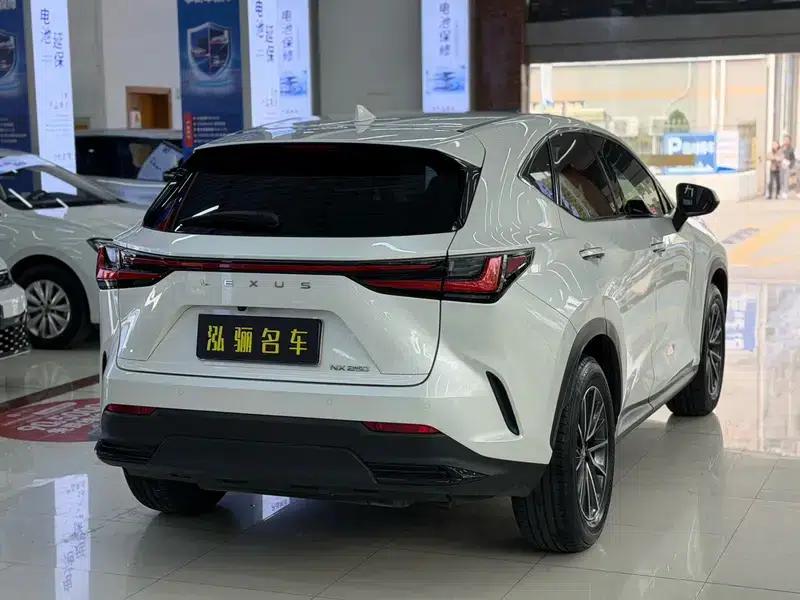 Lexus NX 2022 260 AWD Skyactiv-G — миниатюра 6