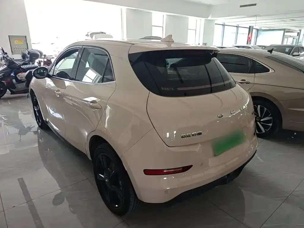 ORA Good Cat 2024 Model 401km Luxury — миниатюра 5