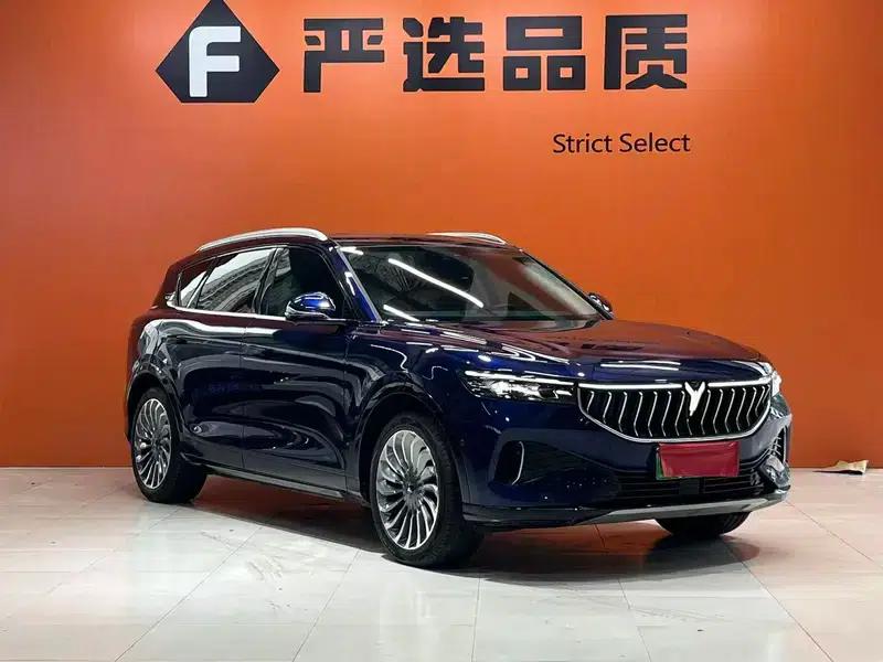 Voyah FREE 2021 All-Wheel Drive Standard Pure Electric Exclusive Luxury Package — миниатюра 3