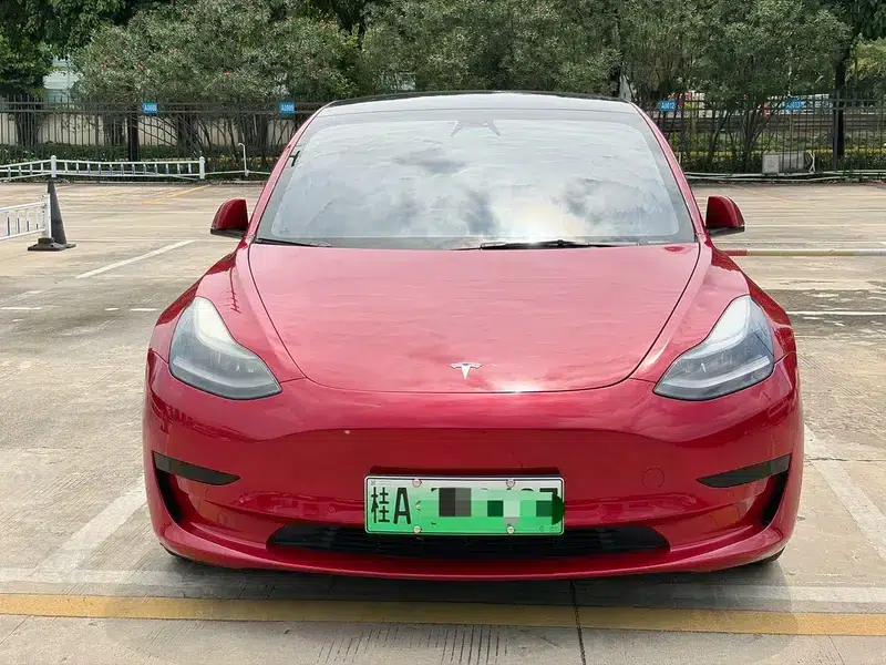 Model 3 2021 Standard Range Rear-Wheel Drive Upgrade 3D6 — миниатюра 2