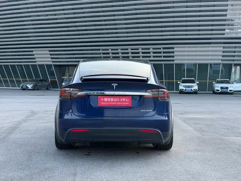Model X 2020 Long Range Plus — миниатюра 6