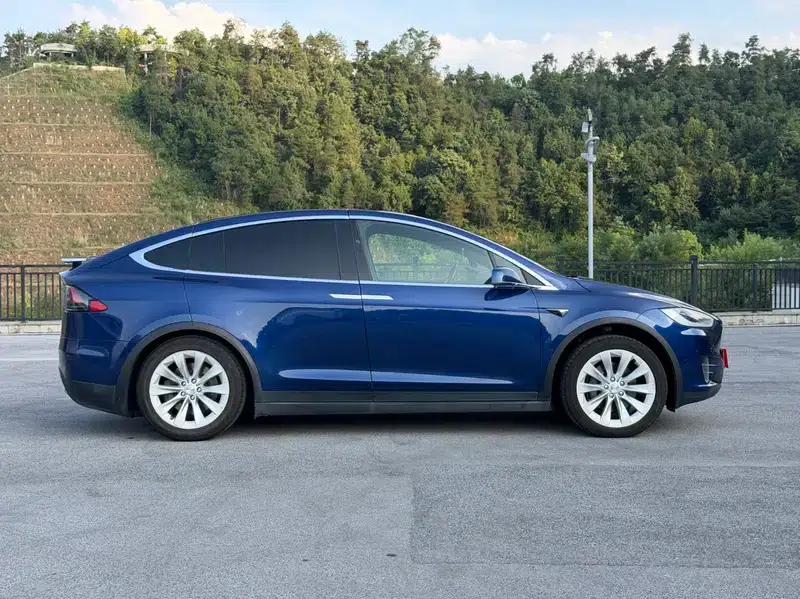 Model X 2020 Long Range Plus — миниатюра 8