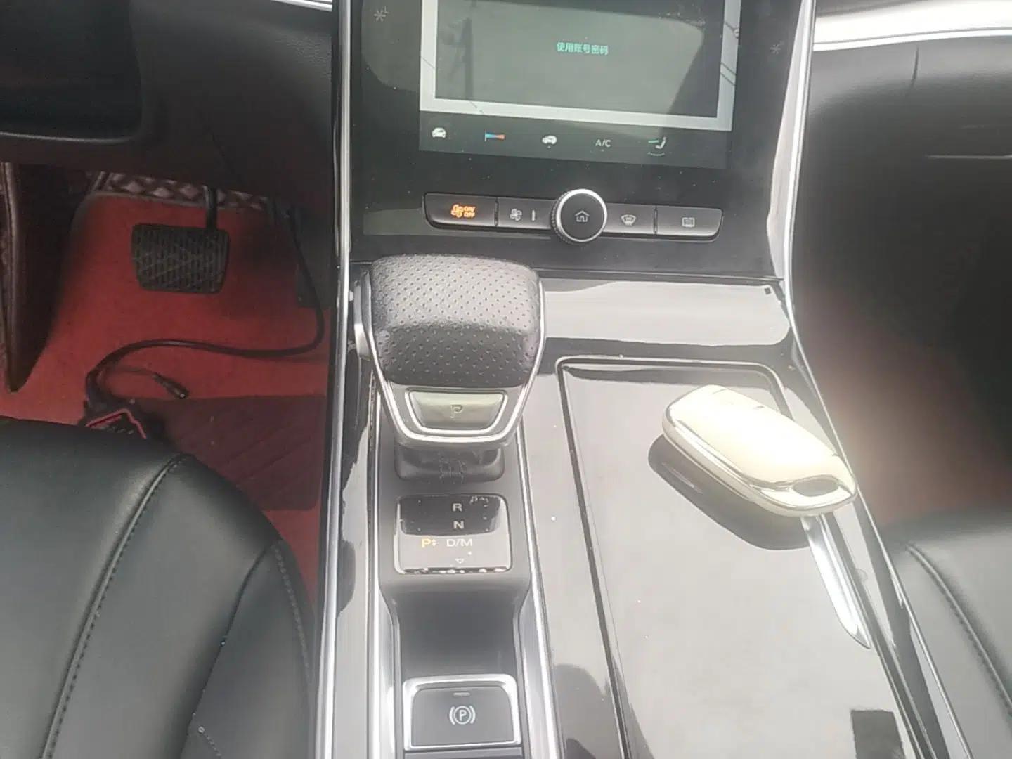 Roewe RX5 MAX 2019 300TGI Automatic 4G Connect Luxury Edition — миниатюра 16