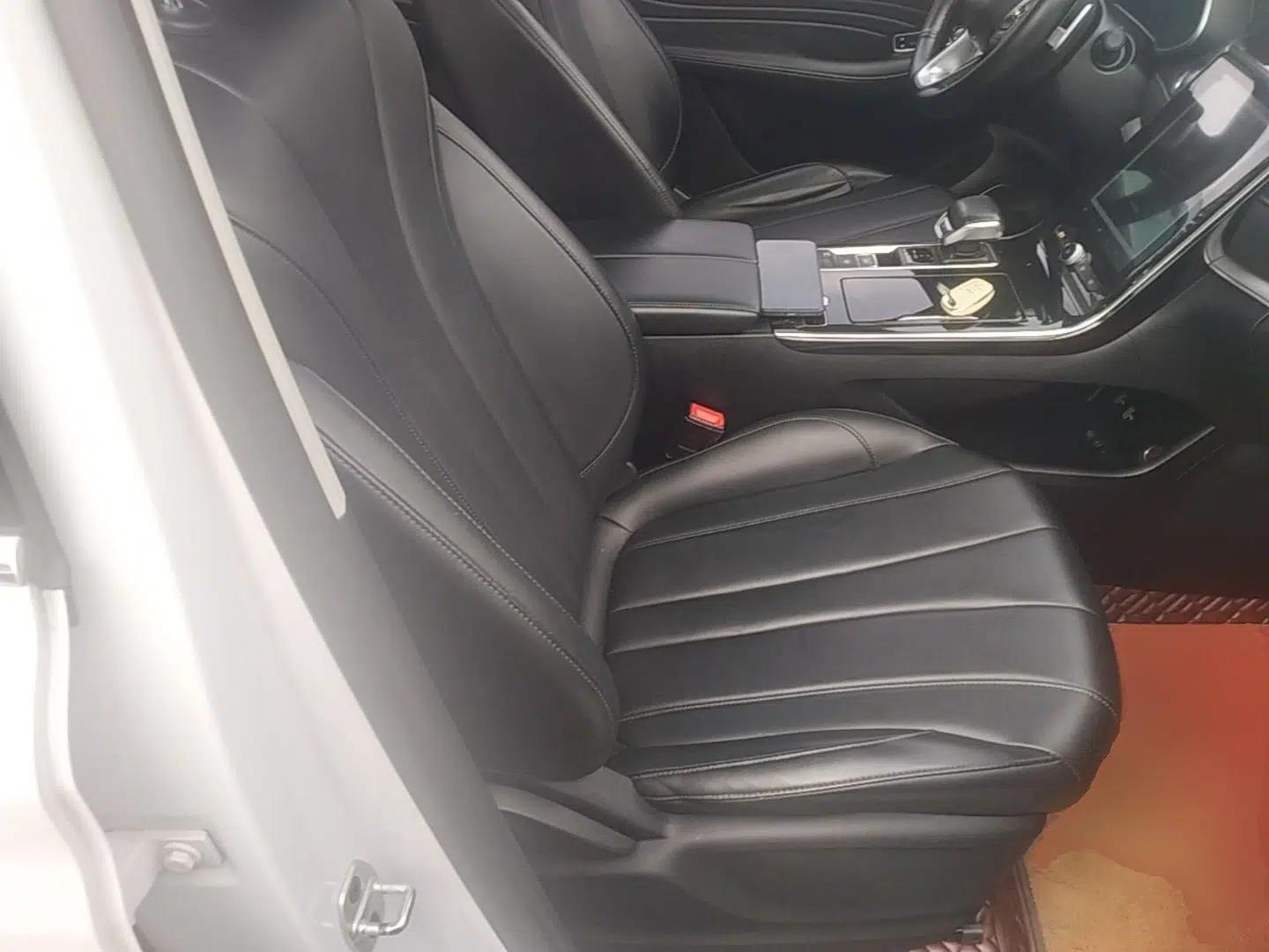 Roewe RX5 MAX 2019 300TGI Automatic 4G Connect Luxury Edition — миниатюра 19