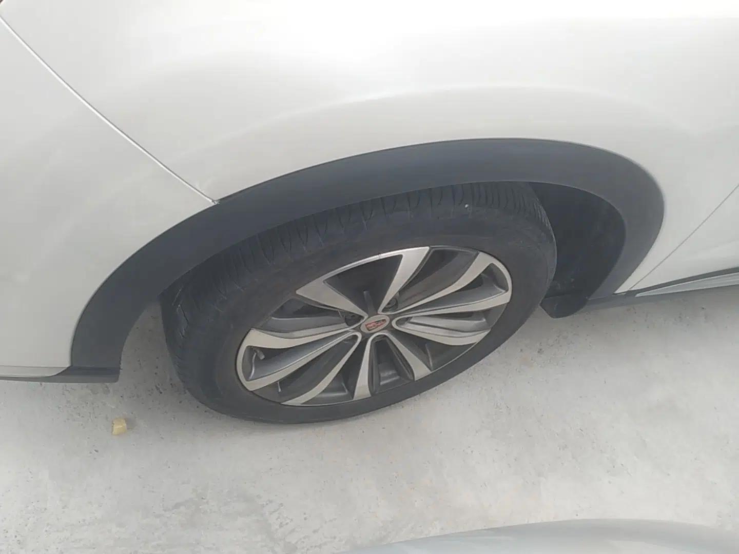 Roewe RX5 MAX 2019 300TGI Automatic 4G Connect Luxury Edition — миниатюра 10