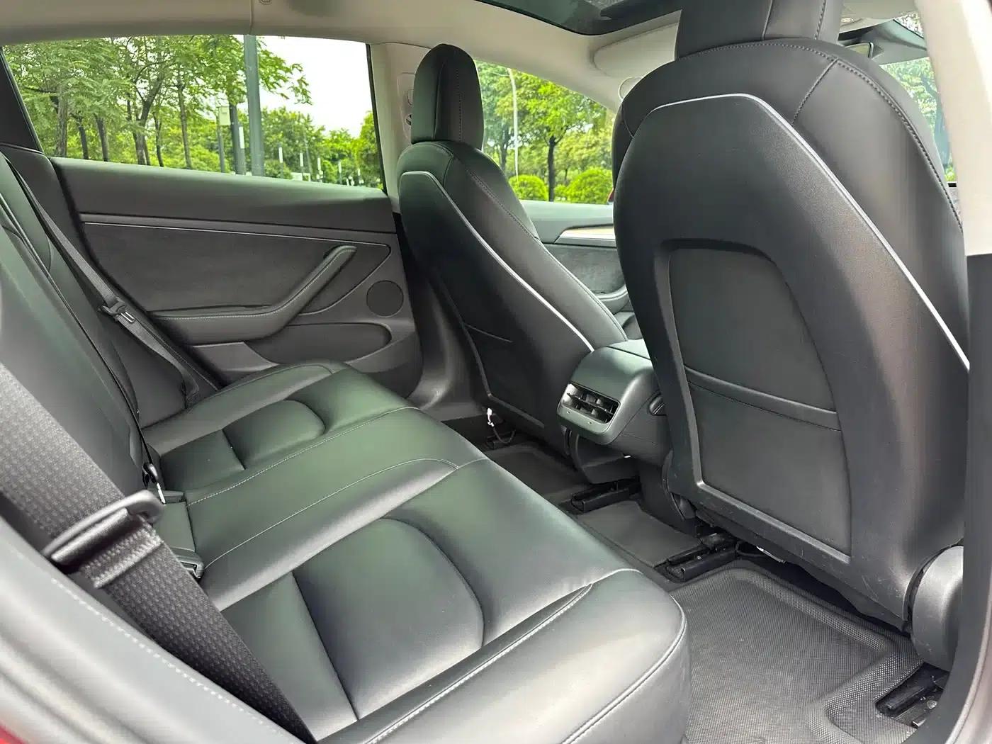 Model 3 2021 Standard Range Rear-Wheel Drive Upgrade 3D6 — миниатюра 14