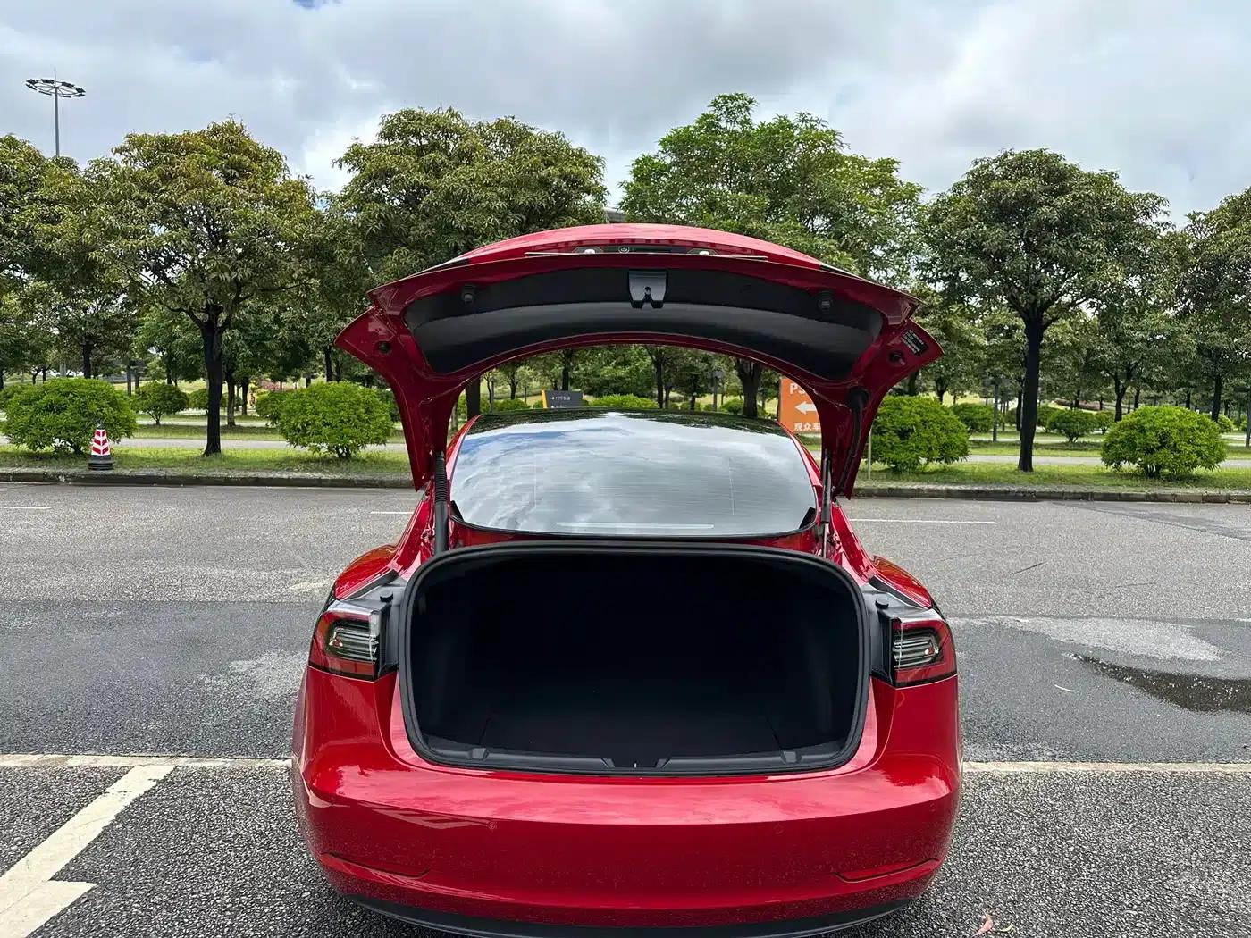 Model 3 2021 Standard Range Rear-Wheel Drive Upgrade 3D6 — миниатюра 17