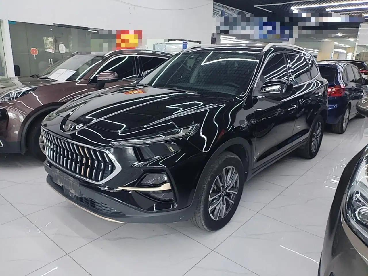 SOL X7 2021 1.5T Flagship Edition — миниатюра 1