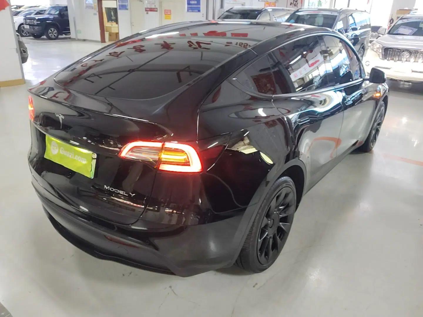 Tesla Model Y 2022 Revised Version Long-Range All-Wheel Drive — миниатюра 6