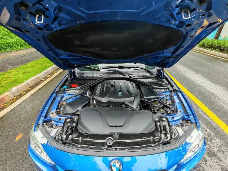 2017 BMW 3 Series 320Li M Sport — миниатюра 8
