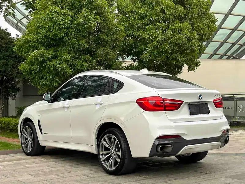 2018 BMW X6 3.0T Automatic AWD 5-seater (Parallel Import) — миниатюра 5