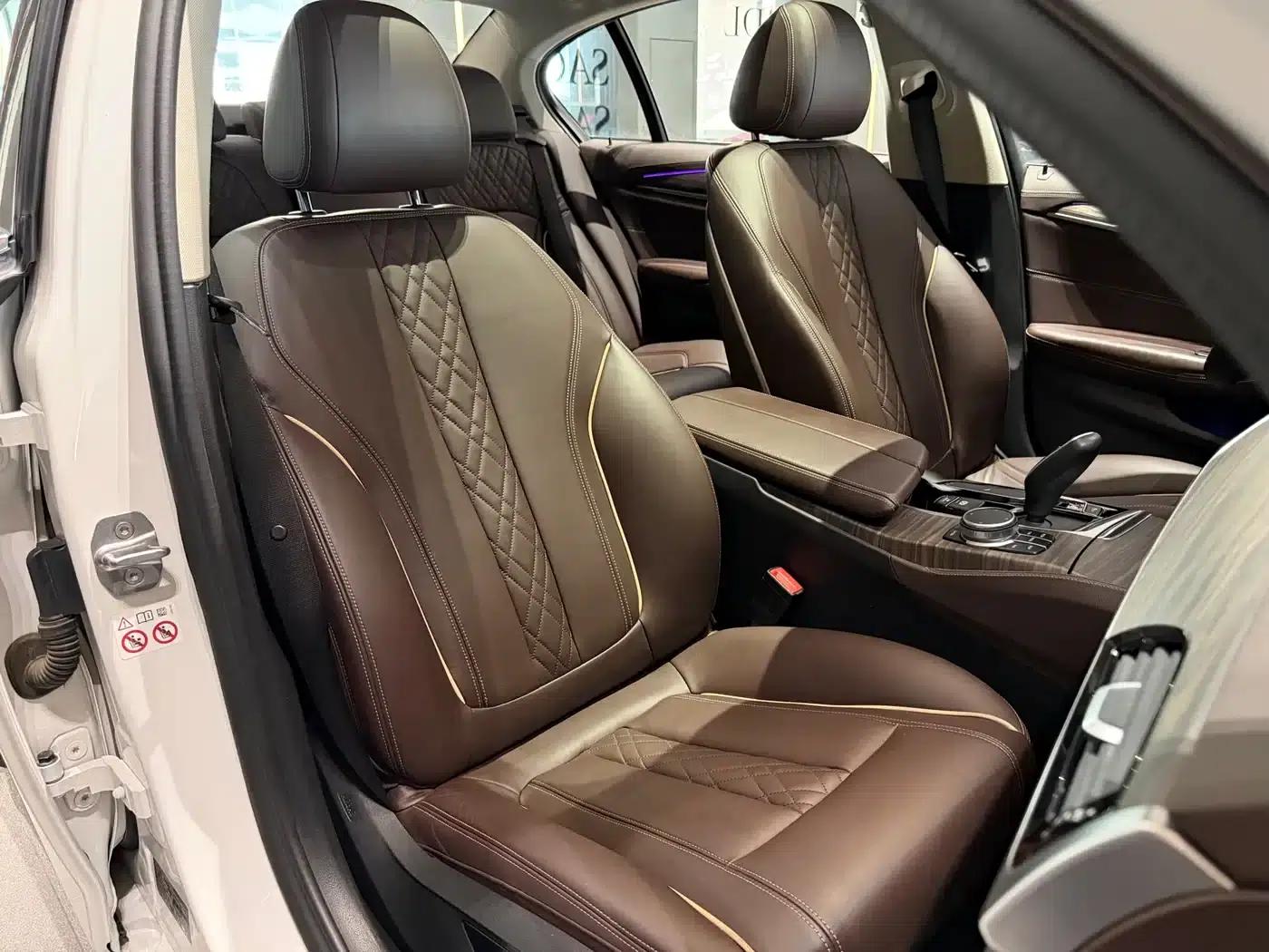 2020 BMW 5 Series 530Li xDrive Luxury Package — миниатюра 14
