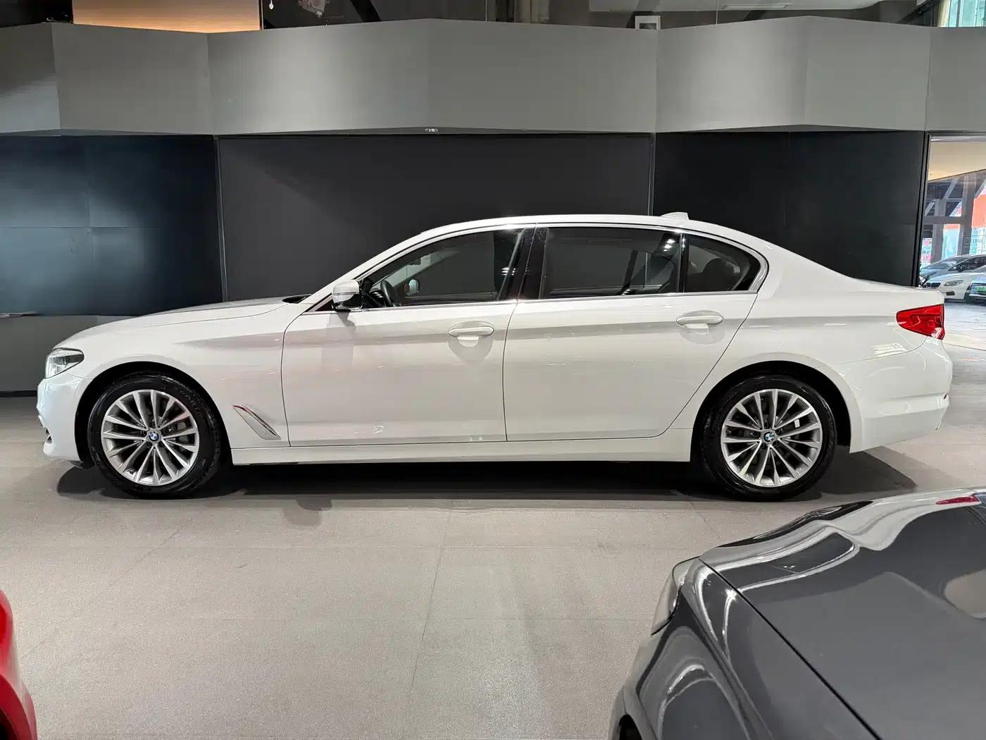 2020 BMW 5 Series 530Li xDrive Luxury Package — миниатюра 3