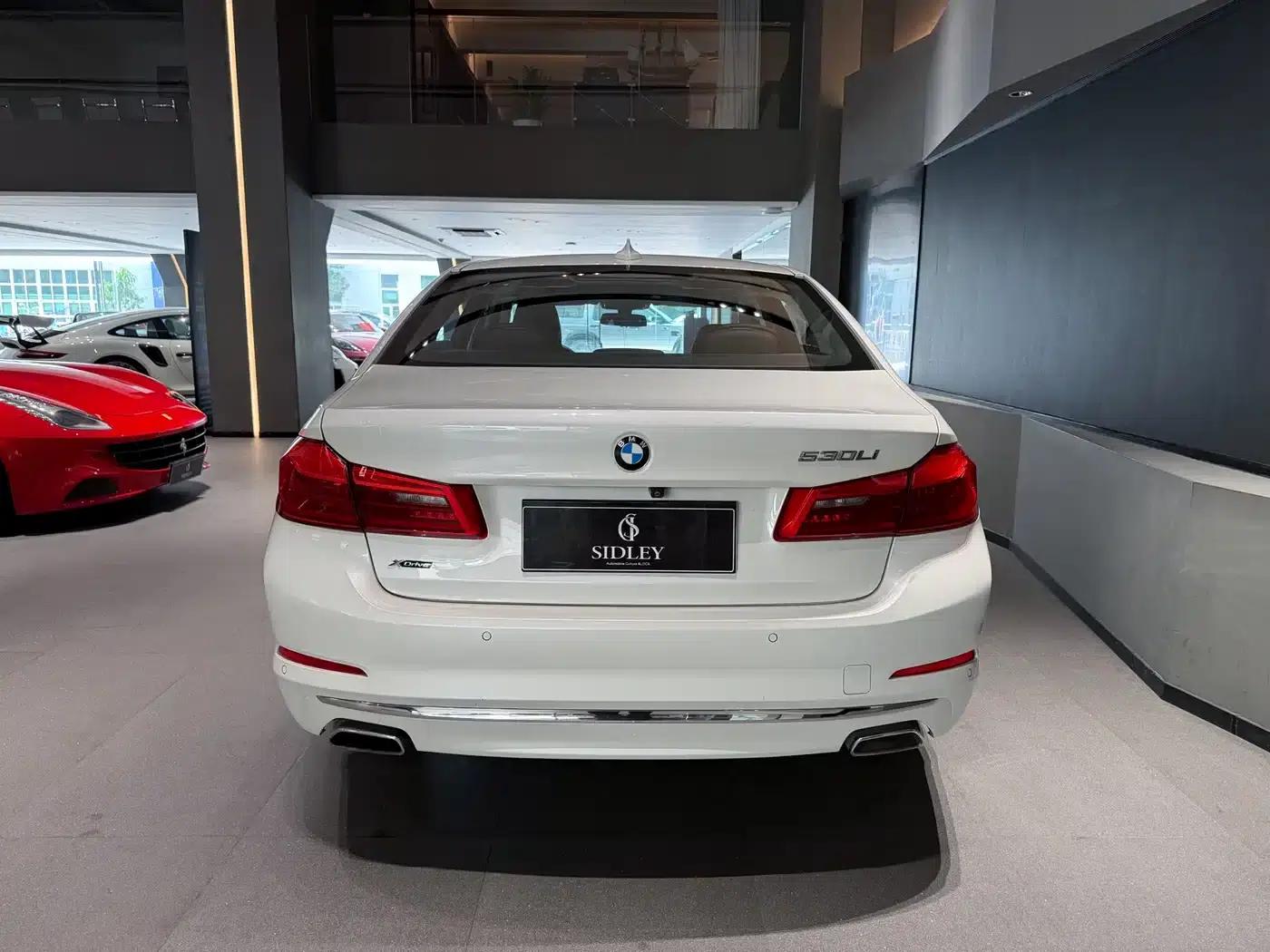 2020 BMW 5 Series 530Li xDrive Luxury Package — миниатюра 5