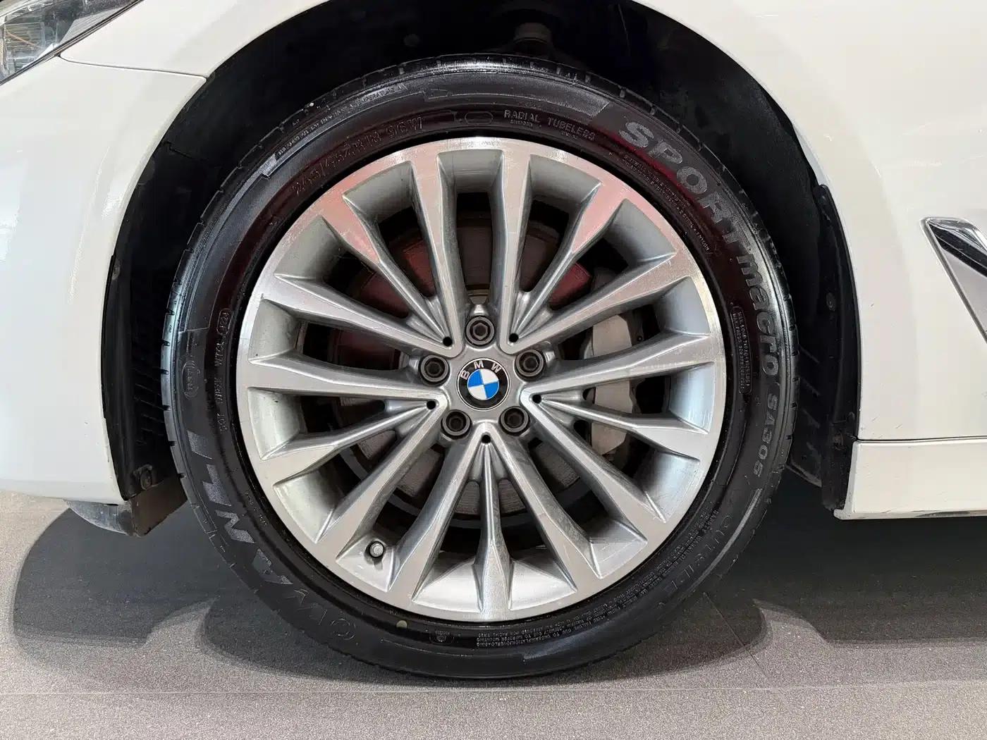 2020 BMW 5 Series 530Li xDrive Luxury Package — миниатюра 6
