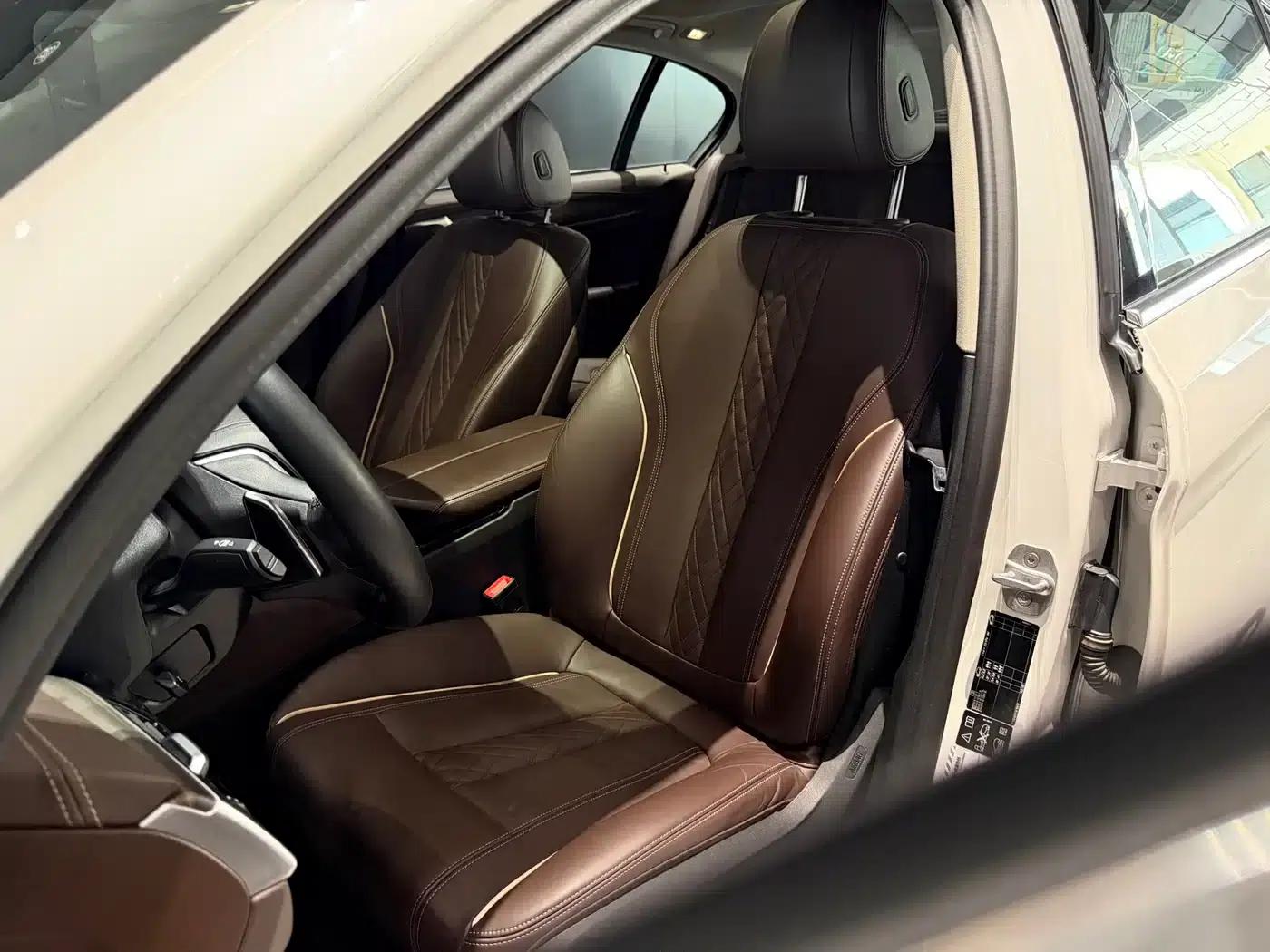 2020 BMW 5 Series 530Li xDrive Luxury Package — миниатюра 8