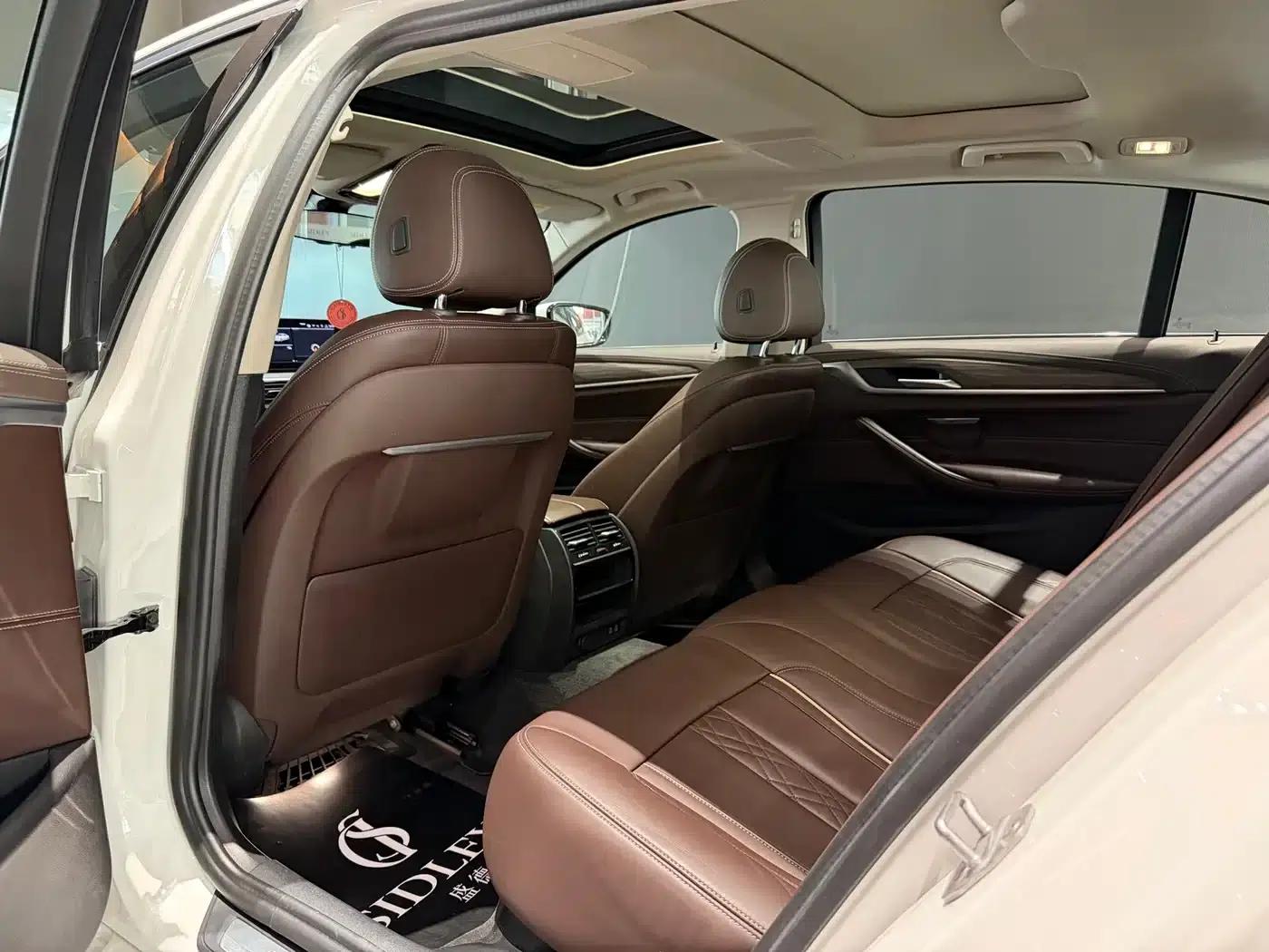 2020 BMW 5 Series 530Li xDrive Luxury Package — миниатюра 9