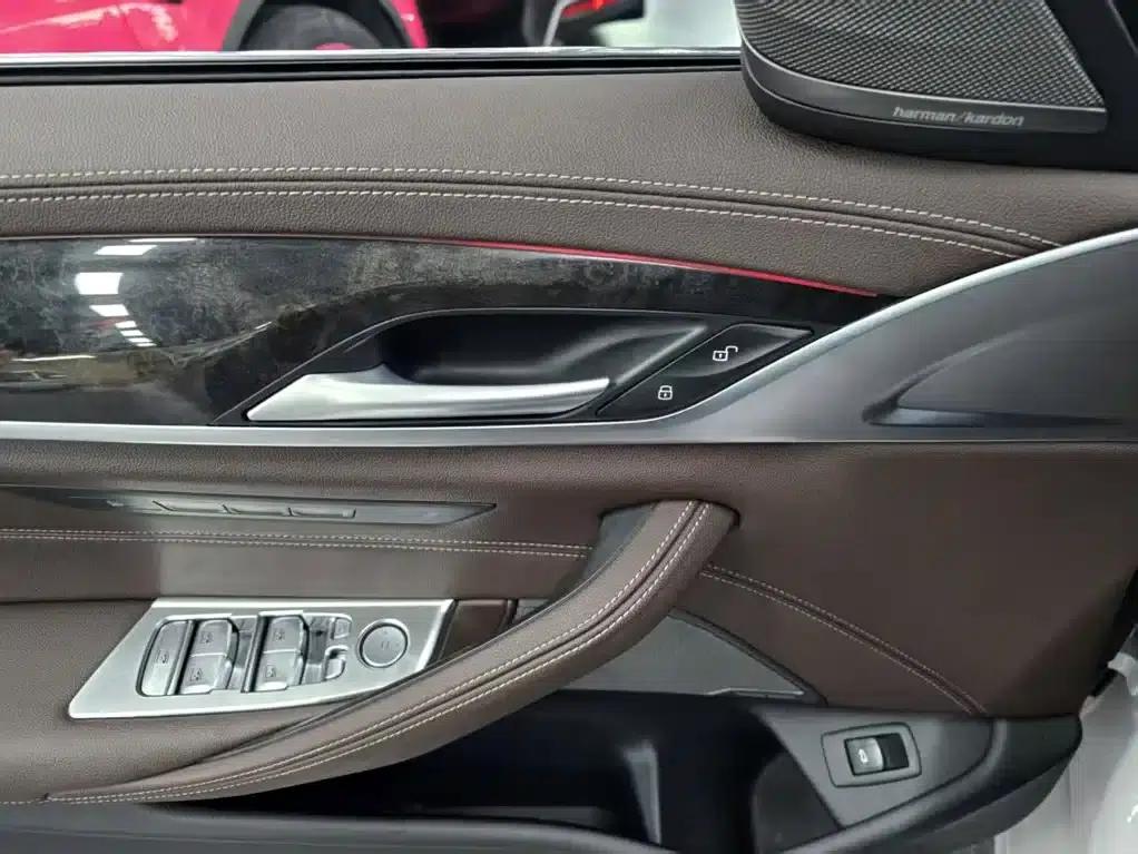 BMW 5 Series 2021 Facelift 530Li Luxury Package — миниатюра 6