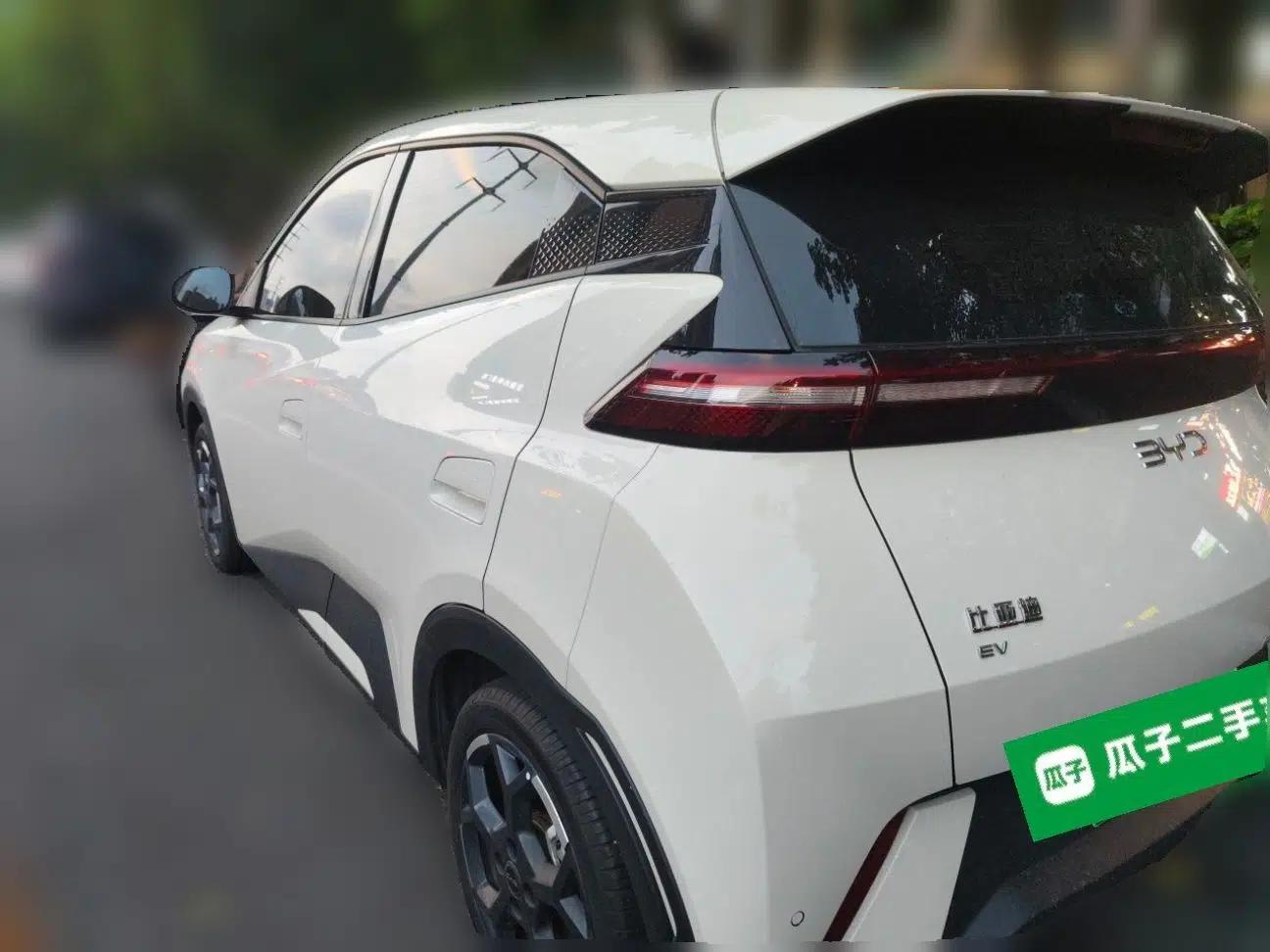 BYD Seagull 2024 Honor Edition 405km Flying Version — миниатюра 4