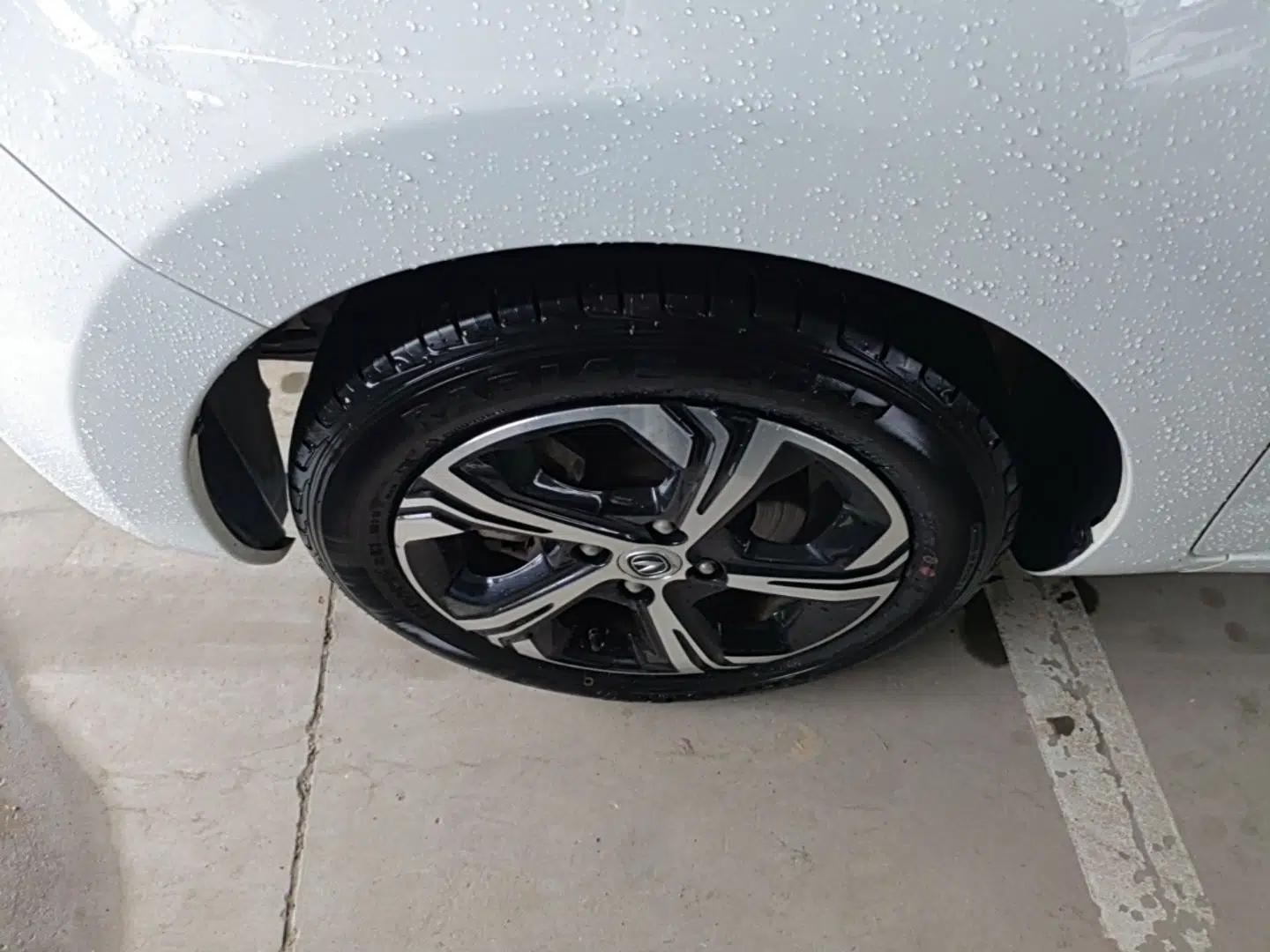 CHANGAN Benni E-Star 2021 National Edition Xin Yue Version Lithium-Ion Battery — миниатюра 10