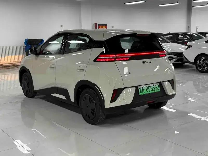 Seagull 2025 305KM Vitality Edition — миниатюра 4