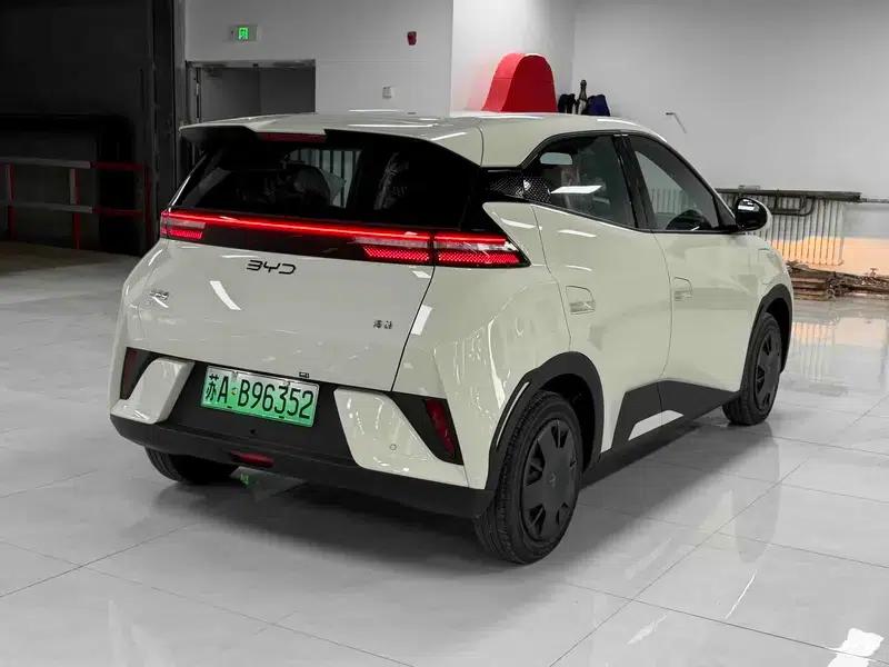 Seagull 2025 305KM Vitality Edition — миниатюра 6