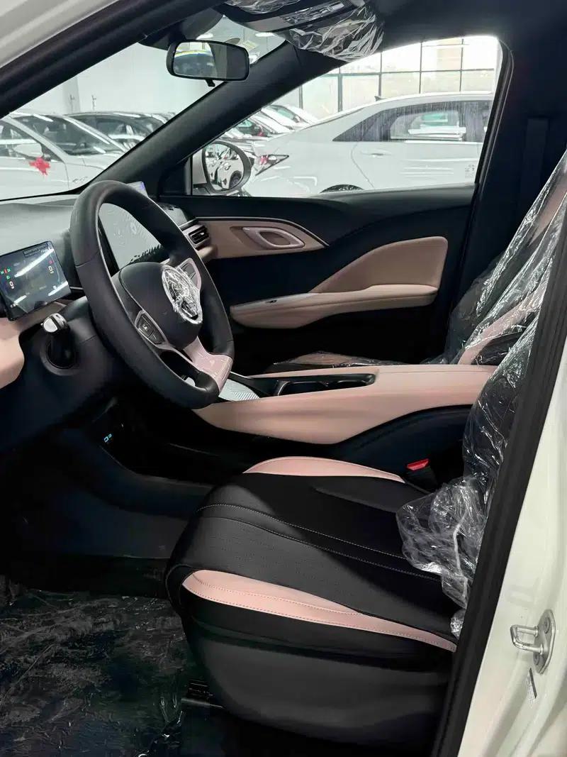 Seagull 2025 305KM Vitality Edition — миниатюра 8
