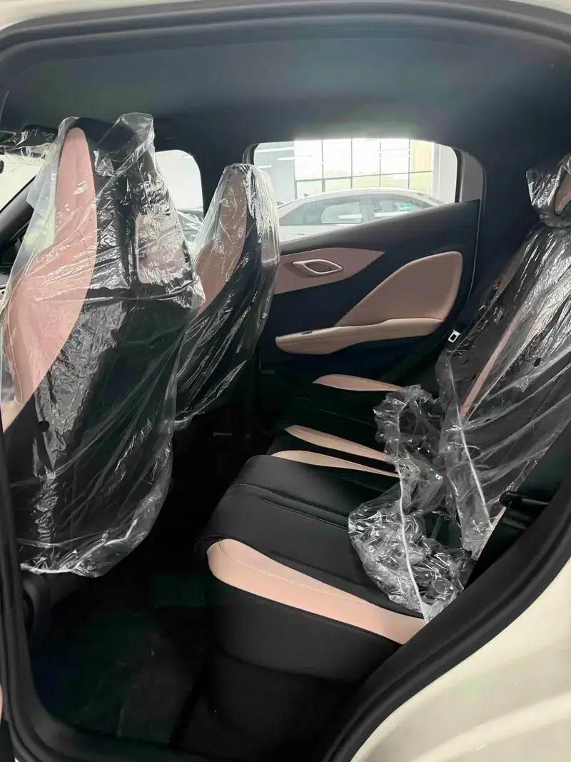 Seagull 2025 305KM Vitality Edition — миниатюра 9