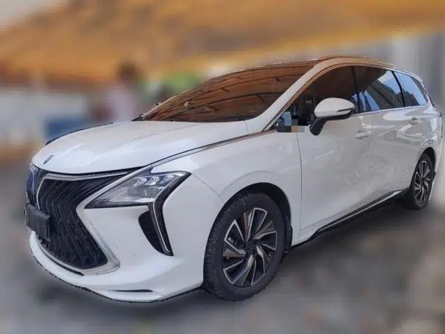 FORTHING Yacht 2022 1.5T DCT Chasing-the-Waves Edition