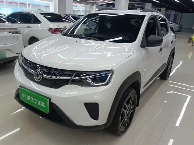 Dongfeng NAMMI EX1 2022 PRO Enjoyment Model