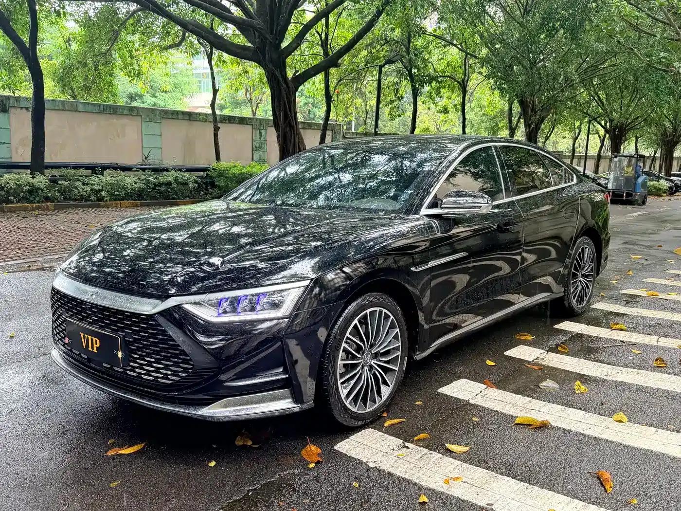 2020 Han DM 4WD Performance Premium Edition — миниатюра 1