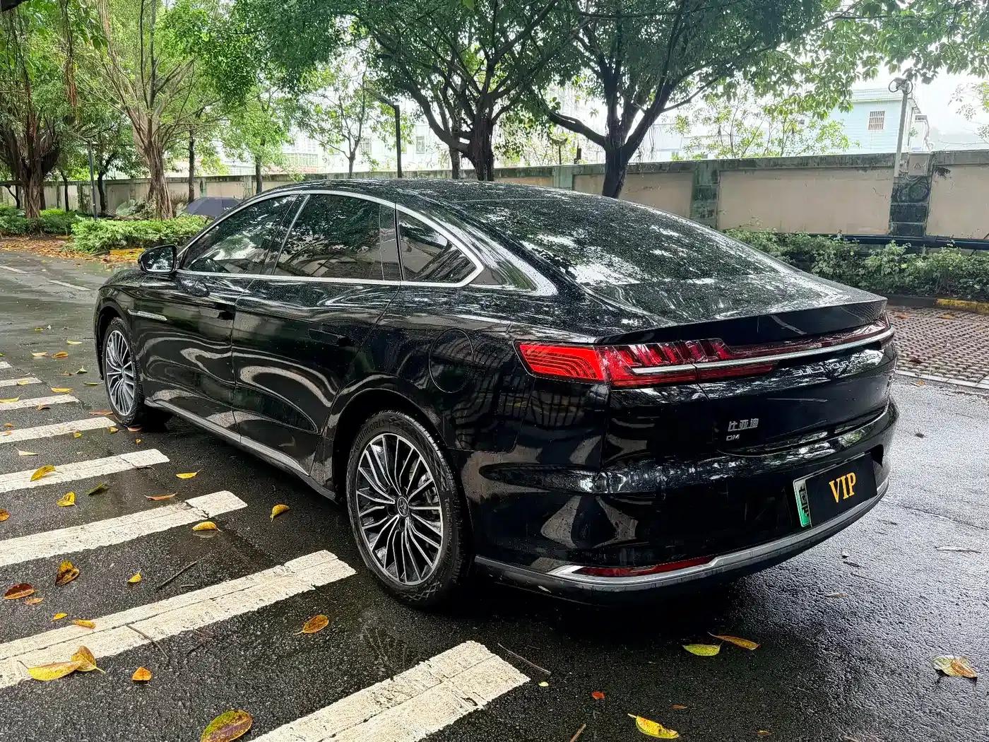 2020 Han DM 4WD Performance Premium Edition — миниатюра 2