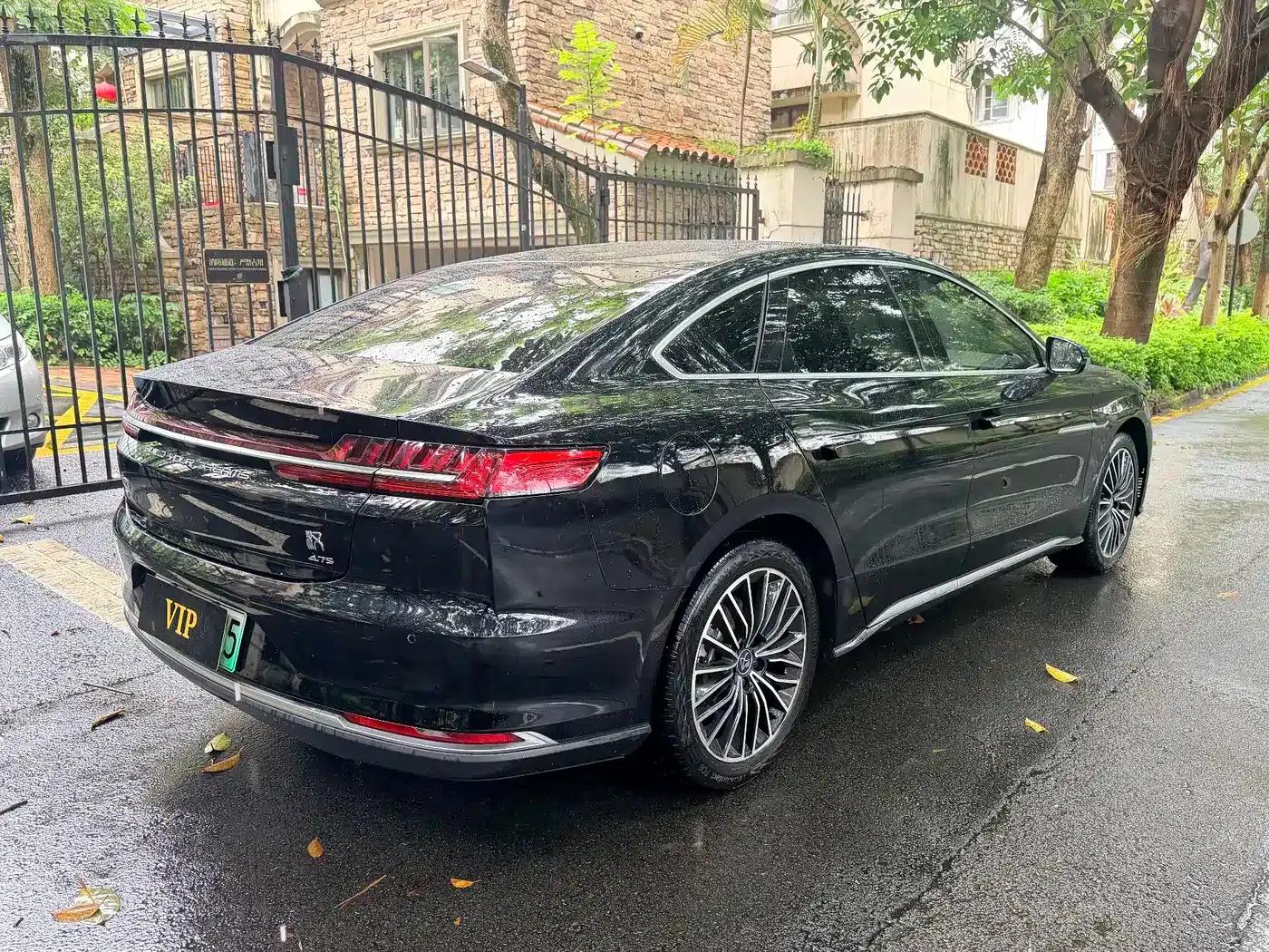 2020 Han DM 4WD Performance Premium Edition — миниатюра 4