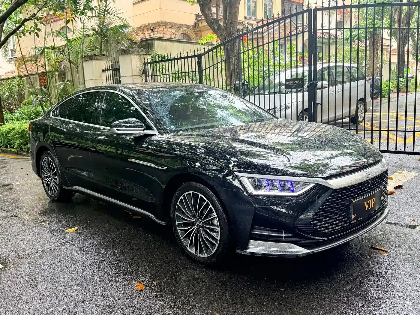 2020 Han DM 4WD Performance Premium Edition — миниатюра 5