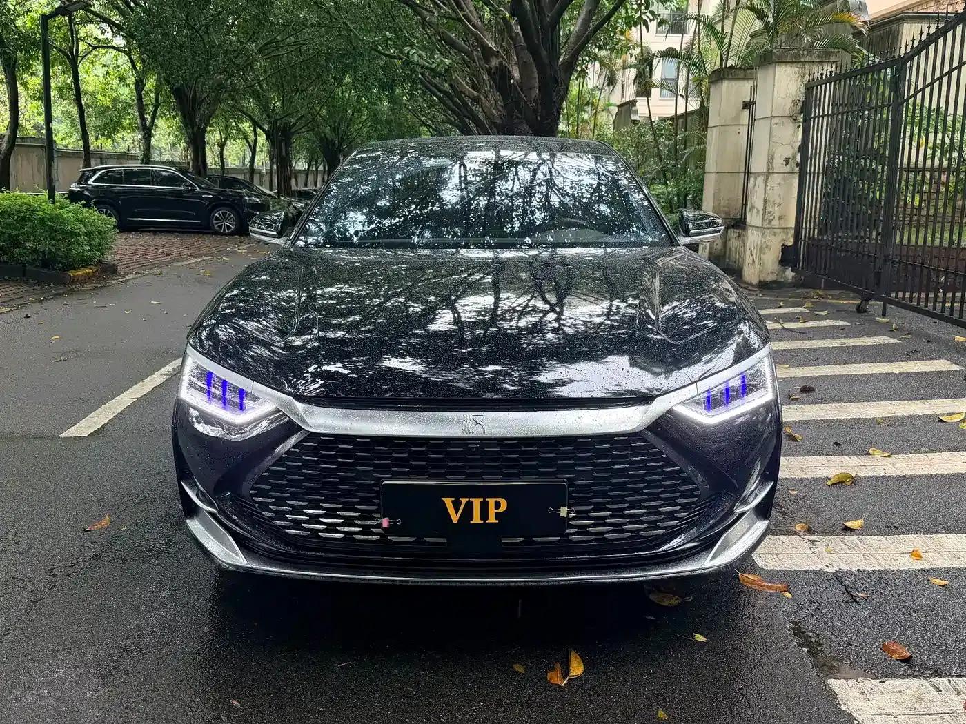 2020 Han DM 4WD Performance Premium Edition — миниатюра 6
