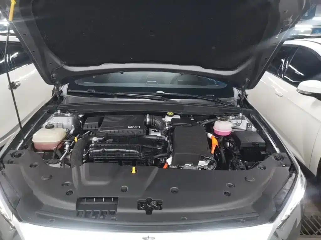 Qin PLUS 2023 Champion Edition DM-i 55KM Leading Model — миниатюра 20
