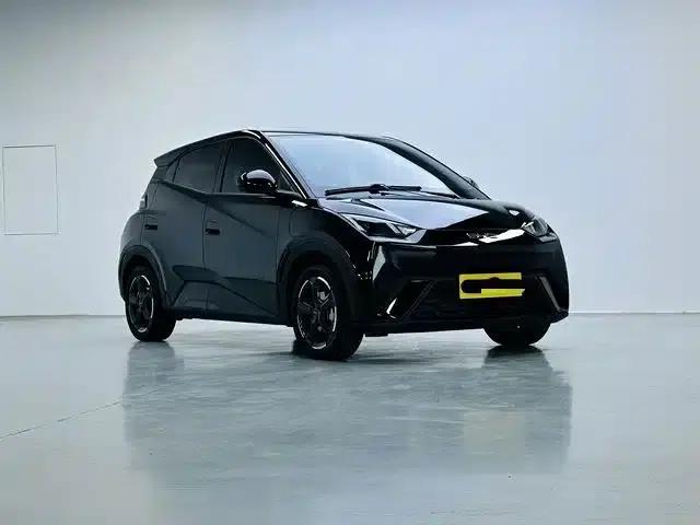 Seagull 2024 Glory Edition 305km Freedom Edition — миниатюра 3
