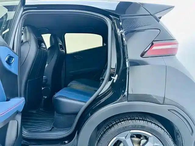 Seagull 2024 Glory Edition 305km Freedom Edition — миниатюра 6