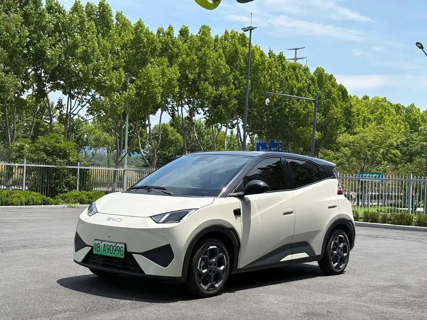 Seagull 2025 Smart Driving Edition 305km Freedom Edition — миниатюра 1