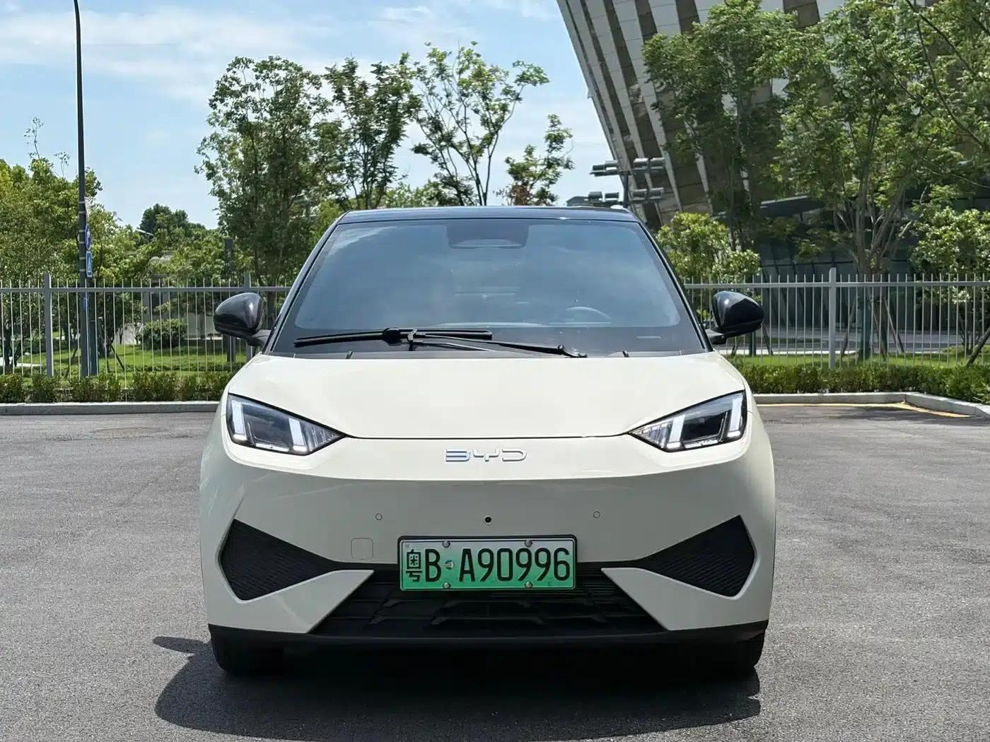 Seagull 2025 Smart Driving Edition 305km Freedom Edition — миниатюра 2