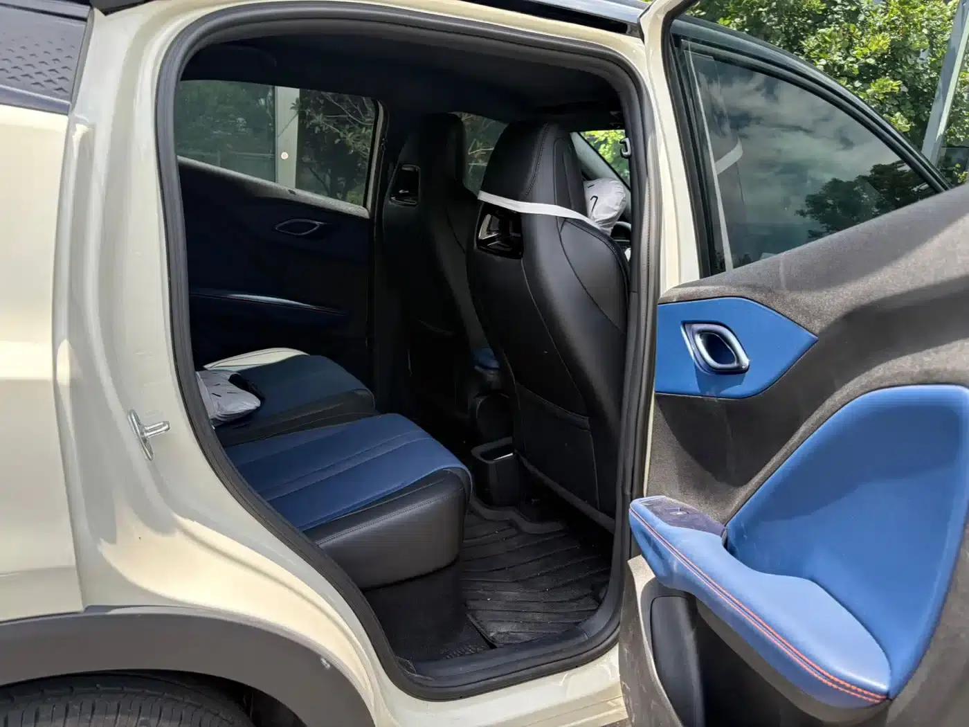 Seagull 2025 Smart Driving Edition 305km Freedom Edition — миниатюра 14