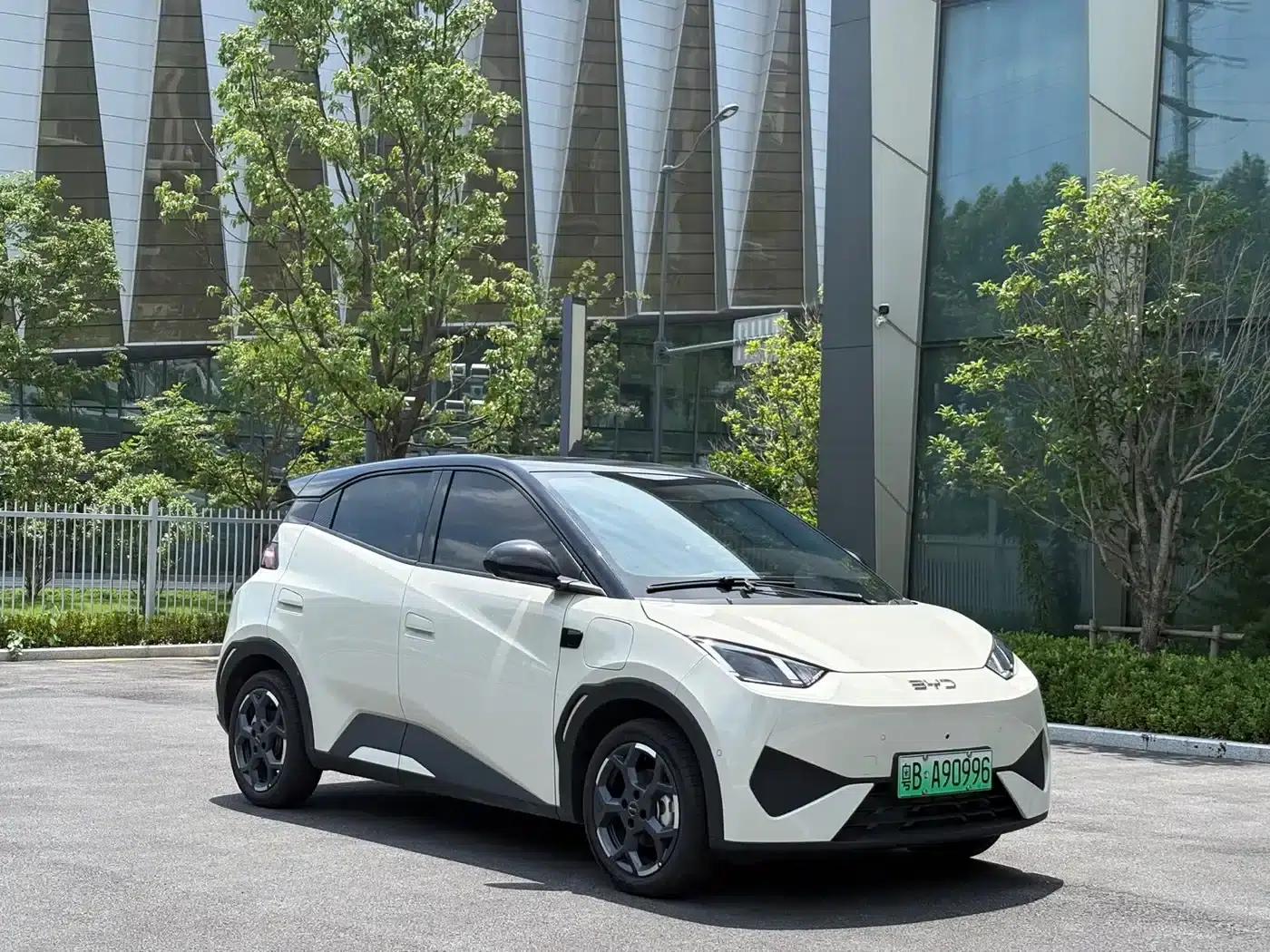 Seagull 2025 Smart Driving Edition 305km Freedom Edition — миниатюра 3